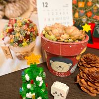 プロリフィカxラウル,ナノブロック,リメ鉢,シダーローズ,カレンダーの画像