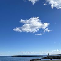 マツ,モミジ,熱海,湯河原,熱海 起雲閣の画像