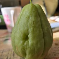 ハヤトウリの画像