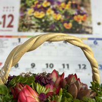 ストレプトカーパス,ストレプトカーパス,ツワブキ,苔のテラリウム,金曜日の蕾たちの画像