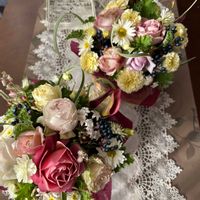 カラー,カラー,キク,ペンタス,ペンタスの画像