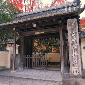 モミジ,紅葉,イロハモミジ,嵐山,嵯峨野の画像