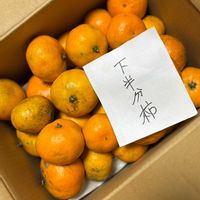 ミカン,カキ,富山支部,母から,富山の画像