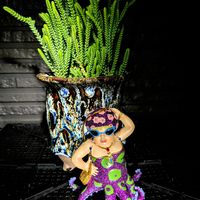 アザレア,ワカミドリ,クラッスラ ワカミドリ,若緑(わかみどり),油そば大盛りの画像