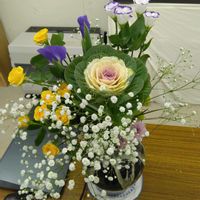 トルコキキョウ,葉ボタン,かすみ草,スプレーバラ,ホープ札幌教会の画像