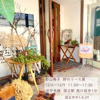 ツルウメモドキ,ドライフラワーいろいろ,ドライフラワーリース,タチヒカゲ,トキリマメの画像