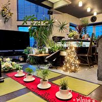 パキラ,バコパ,ニューサイラン,コルジリネ レッドスター,観葉植物の画像