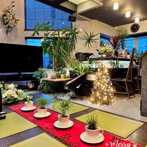 パキラ,バコパ,ニューサイラン,コルジリネ レッドスター,観葉植物の画像