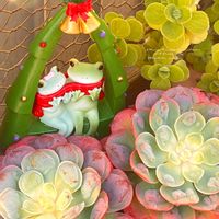 アロマティカス,虹の玉,女雛錦,マクス錦,ウテキの画像