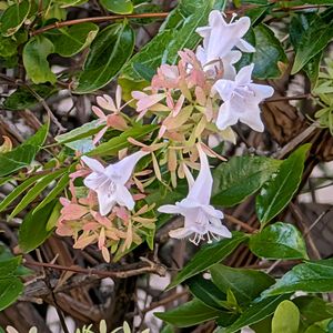 アプローチの画像