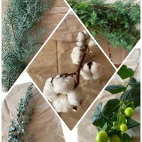 ヒペリカム,ユーカリグニー,フレッシュ  クリスマスリース,ヒムロスギ,コニファー ブルーアイスの画像