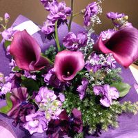 カラー,ストック,素敵な出会いに感謝,紫色の花,胸キュンの画像