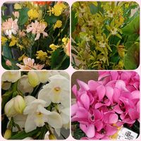 花のある暮らし,復興祈願,今日も笑顔で♡の画像