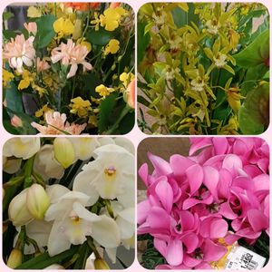 花のある暮らし,復興祈願,今日も笑顔で♡の画像