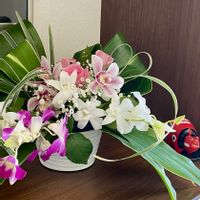 カスミソウ,コチョウラン,シンビジウム,ドラセナ,ハランの画像