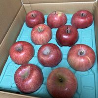 リンゴ,リンゴの画像