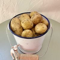 ジャガイモの画像