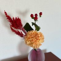 カーネーション,ヒペリカム,バラ、薔薇、ばら,切り花,青山フラワーマーケットの画像