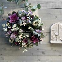 アリッサム,ハツユキカズラ,葉牡丹,葉牡丹 ウォーターリリー,シロタエギク ニュールックの画像