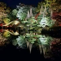 ライトアップ,庭園,旅行,観光地,福井県の画像