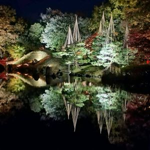 ライトアップ,庭園,旅行,観光地,福井県の画像