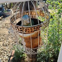 オキザリス,ビオラ,パコバ,寄せ植え,バラ大好きの画像