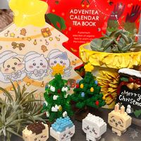 エアープランツ,王妃雷神白中斑,王妃雷神白中斑,クリスマスツリー♡,ナノブロックの画像