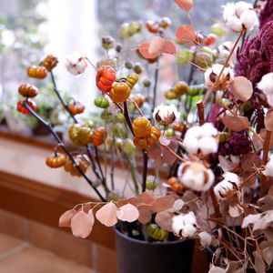 ワタ,ソラナム パンプキン,アマランサス ベルベットカーテン,花のある暮らし,種まき中毒の画像