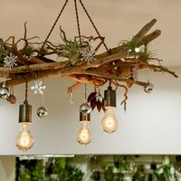 DIY,流木,フェイクグリーン,クリスマスデコレーション,インテリアの画像