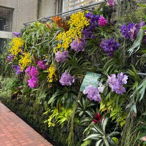 温室,京都府立植物園の画像