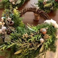 シルバーブルニア,ユーカリ,サンキライ,ユーカリの実,ユーカリテトラゴナの画像