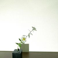 キク,一輪挿し,花瓶,花器,山野草の画像