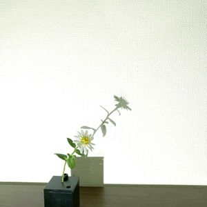 キク,一輪挿し,花瓶,花器,山野草の画像