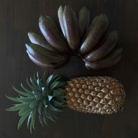 パイナップル,バナナ,南国フルーツの画像