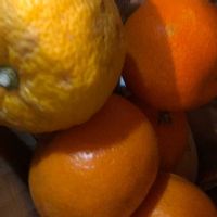 ミカン,ありがとう❤️,日曜ビタミンカラー♪,ウキウキわくわく♪,つなぐ、つながるの画像