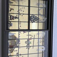 リシマキア,リシマキア オーレア,クリスマスツリー✨,花のある暮らし,ライムグリーンの画像