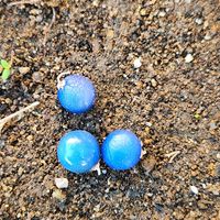 雪割草,雪割草,雪割草,リュウノヒゲ,リュウノヒゲの画像