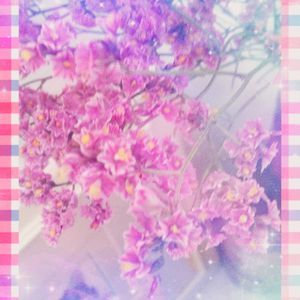 ドライフラワー,札幌から,リビング・ダイニングの画像