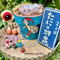 ハートカズラ斑入り《レディハート》,エケベリア クリスペートビューティー,寄せ植え,KOHリメ鉢,ネックレスの日の画像