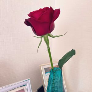 ありがとう,一輪の画像