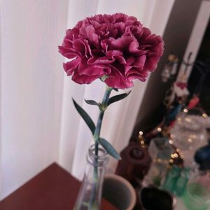 カーネーション,アンティーク,ピンクの花,アンティークカラー,カーネーション♡の画像