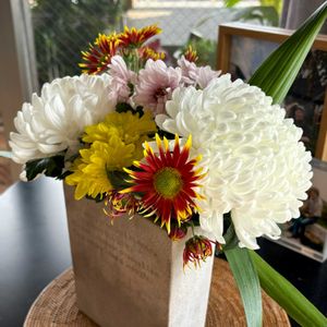 リビング,❓ばかりのベランダ園芸,マンション13の画像