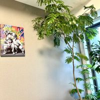 ハイビスカス,エバーフレッシュ,フィカス　ウンベラータ,フィカス,フィカス ベンガレンシスの画像