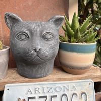 植木鉢,うちの庭,誕生日プレゼント,猫の顔の植木鉢の画像