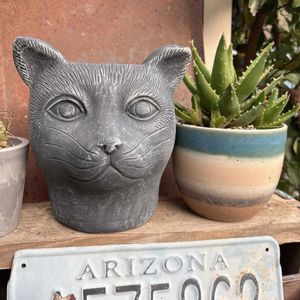 植木鉢,うちの庭,誕生日プレゼント,猫の顔の植木鉢の画像