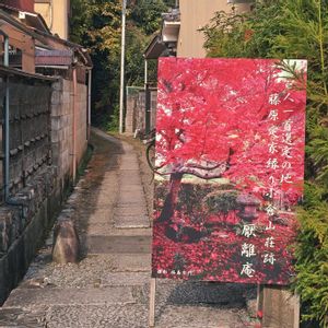 モミジ,紅葉,イロハモミジ,嵐山,嵯峨野の画像