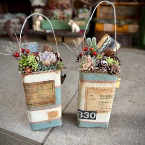 多肉植物,クリスマス,アレンジ,紅葉する多肉,リメ缶の画像