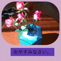 ミニバラ,今日も笑顔で♡,いつもありがとう❤️,今を生きる,穏やかな毎日の画像