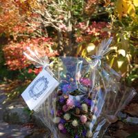 スターチス,センニチコウ,ニゲラ,ノイバラ,ヘリクリサムの画像