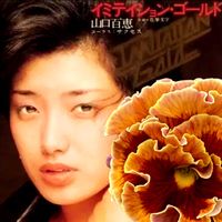 ウコンラッパバナ,ススキ,フォックスフェイス,ヘリクリサム,ゴールデンカップの画像